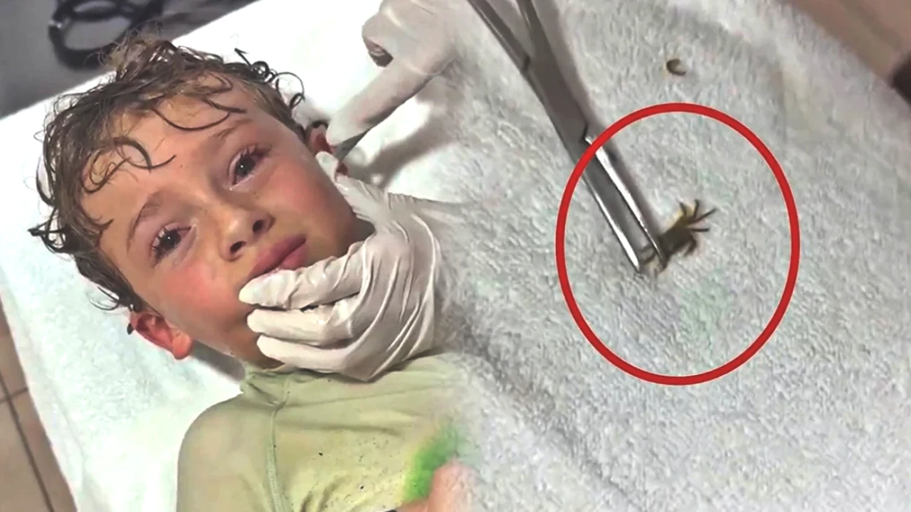 Şaşkınlık Yaratan Olay! Kulağından Yengeç Çıkan Kişinin Hikayesi